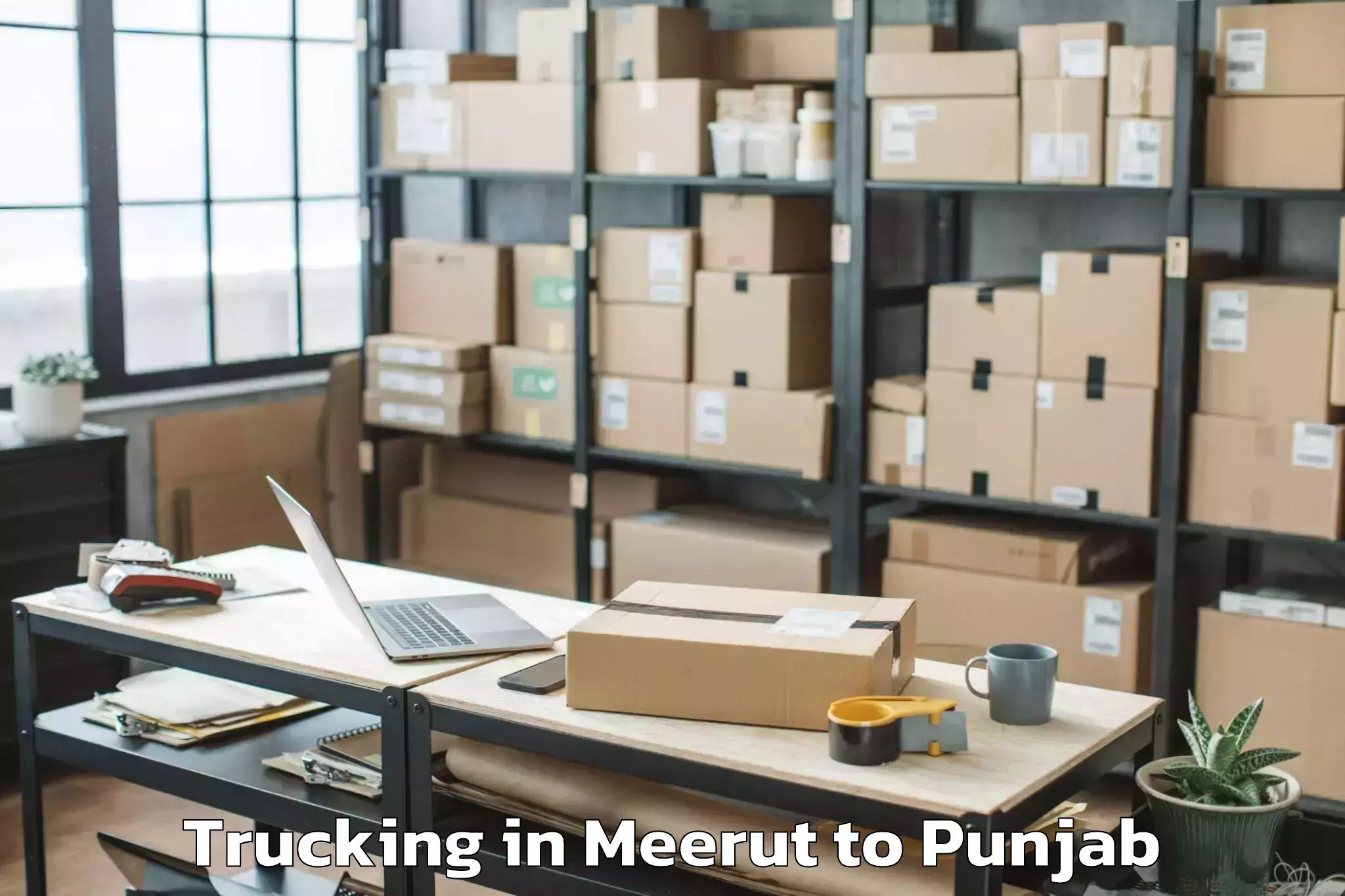 Trusted Meerut to Guru Nanak Dev University Amri Trucking